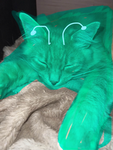 Neon rule