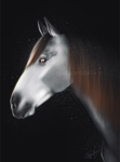 Hoof Haven Official