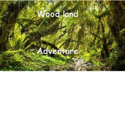 Woodland Adventure