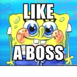 #Memes_for_life