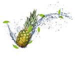 soggy pineapples studios