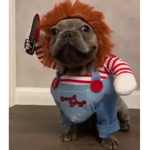 El grupito facherito