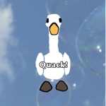 Quack!!