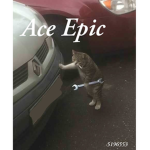 Ace Epic