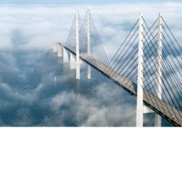 Bridge run