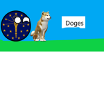dogememe's studios