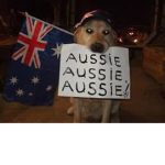 AUSSIE DRIP