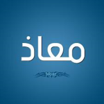 moaz Group