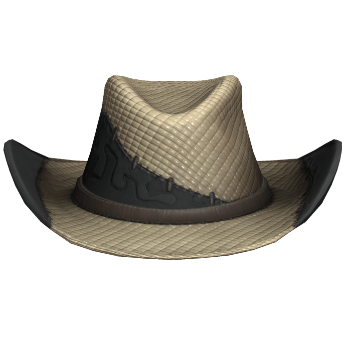 Snake Stitch Cowboy Hat