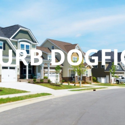 Suburb dogfight