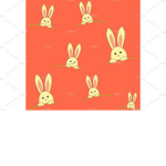 bff rabbit