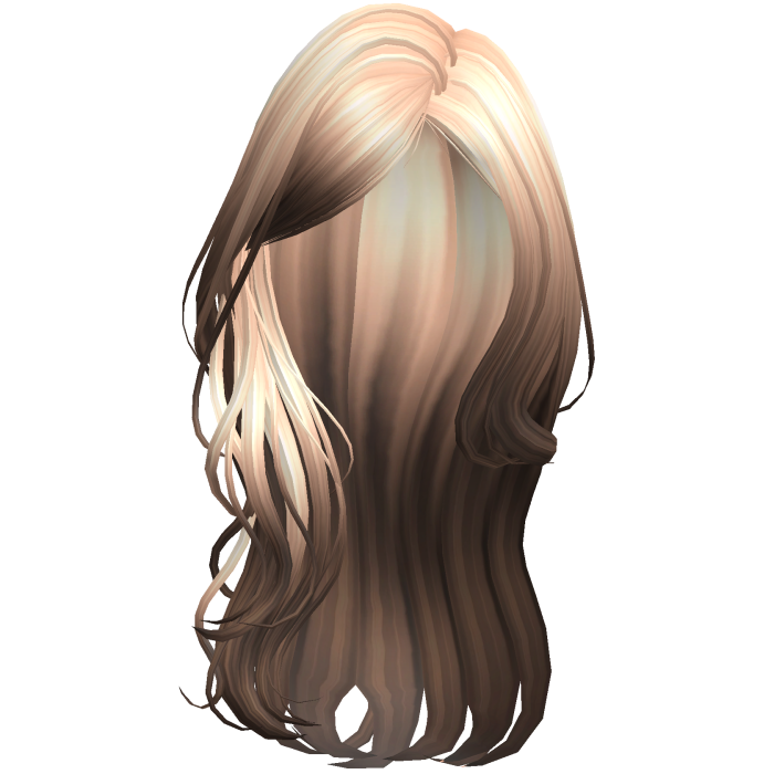 Blonde to Brown Long Wavy Layered Blowout