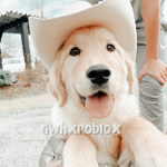 awhxrobl0x