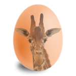Almighty Giraffes