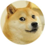 Chill_Dogs