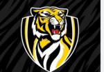 GO RICHMOND TIGERS
