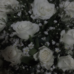 --ultraviolence--