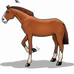 (Flower Horse)
