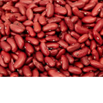 The coolbean's