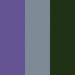 Pigeonian army