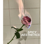 spicy aesthetics