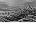 The ######## Birds (Chidori)