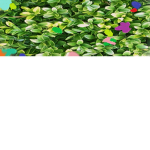 flowers squad.