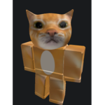 Cat's group 2.