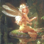 Fairy Store