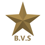 Bronze Video Stars