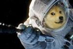 International Doge Space station