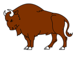BisonGaming Fan Club