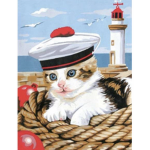 The cats port