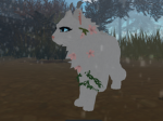 | +- SnowClan -+ |