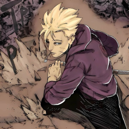 Ninja: soul