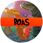 Boa Class