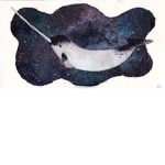 The Narwhal Galaxy