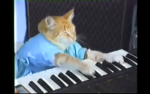 The best group for cat and dog owners