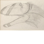 The Guanlong Cult
