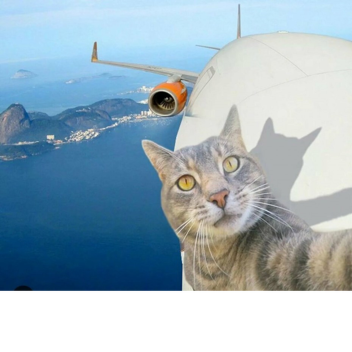 Weiß vs. Gelb Rp (Beta)