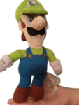 The MiiWii Funtimes Group.