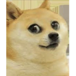 Doge suss boi