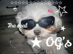 u the real OG?