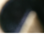Haladopy