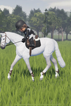 Jess’s riding academy!