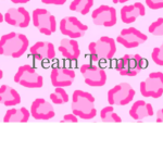TEAMzTEMPO