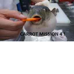 Secret carrot adeventure {PART 4 FINALLY]