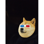 Dogey life