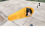 Meow_cat