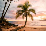 TROPICAW